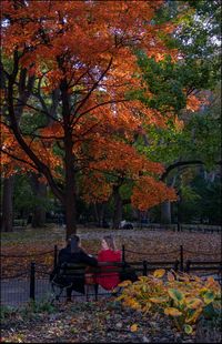 Bench by tree during autumn