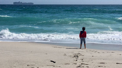 Rear view of man standing on beach