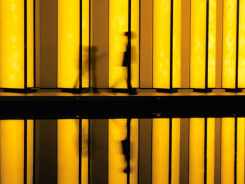 Low angle view of people walking past illuminated building