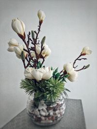 Close-up of white flowers on table