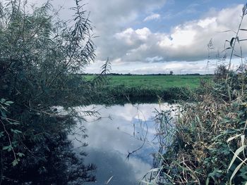 Scenic view of lake against sky