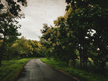 Road amidst trees against sky