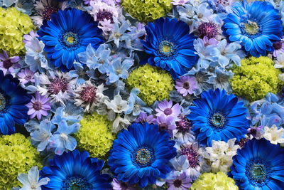 Full frame shot of blue and purple flowering plants