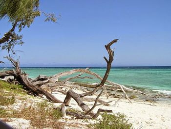 Scenic view of sea against clear sky