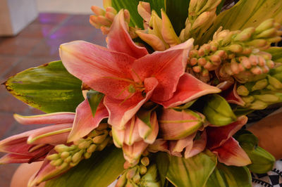 Close-up of flowers