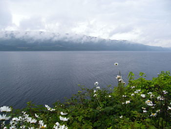 Scenic view of sea against cloudy sky