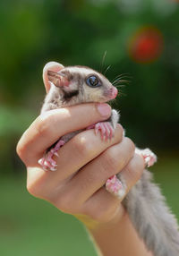 Close-up of woman holding hand