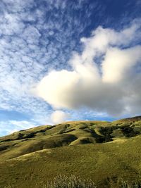 Scenic view of landscape against cloudy sky