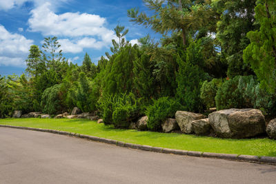 View of empty road by trees against sky