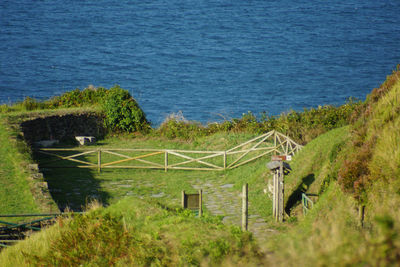 High angle view of grass on beach