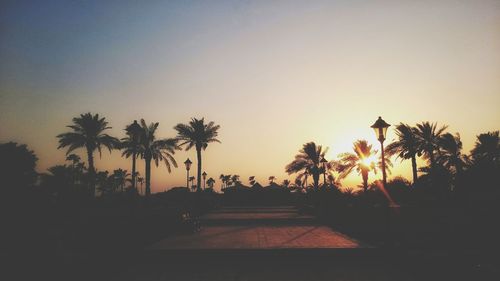 Silhouette palm trees against sky during sunset