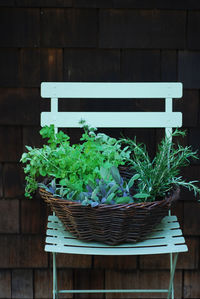 Potted plants in basket on table
