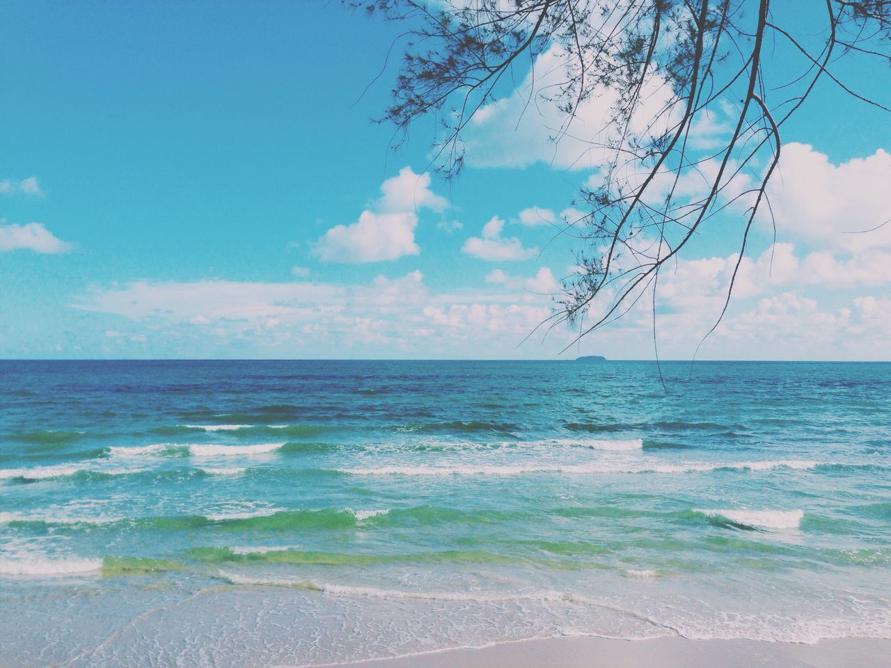 sea, horizon over water, water, sky, scenics, tranquil scene, tranquility, beach, beauty in nature, blue, nature, shore, tree, cloud, cloud - sky, idyllic, wave, day, branch, no people