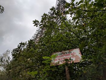 Low angle view of text on tree against sky