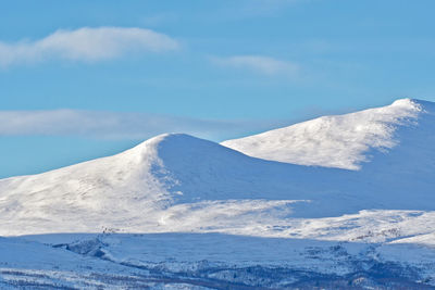 Winter landscape 