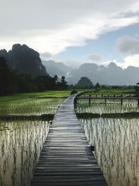 Scenic view of field by lake against sky