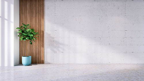 Potted plant on table against wall