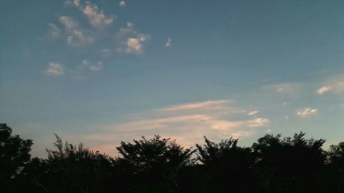 Low angle view of silhouette trees against sky