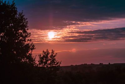 Silhouette of trees at sunset