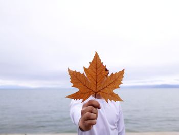 Close-up of hand holding maple leaf against sky