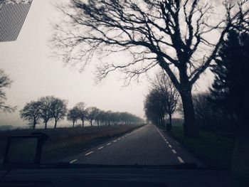 Road along bare trees