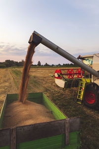 Organic farming, wheat field, harvest, combine harvester in the evening