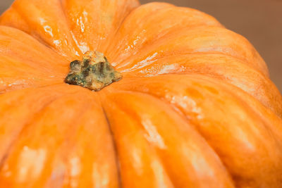 Close-up of pumpkin