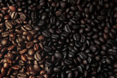 Variation of roasted stage coffee bean