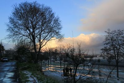 Bare trees against sky at sunset