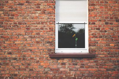 Window on brick wall