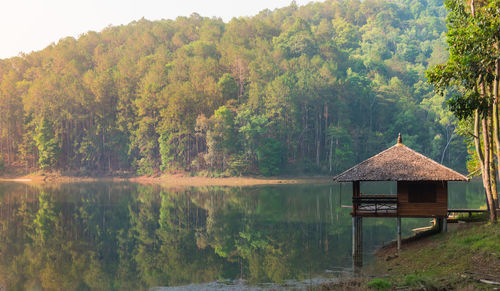 Gazebo by lake in forest