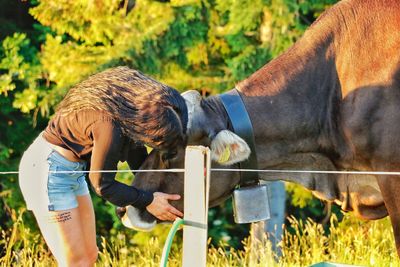 Side view of woman petting cow on field