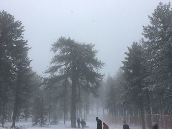 People on snow covered land against sky