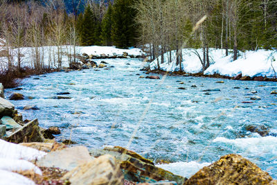 Scenic view of frozen river in forest during winter