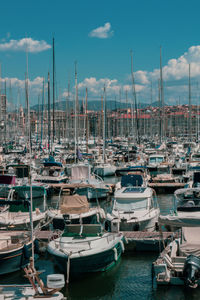 Sailboats moored at harbor