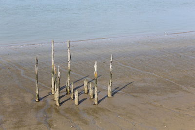 High angle view of wooden post on beach