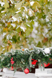 Close-up of christmas decorations hanging on tree