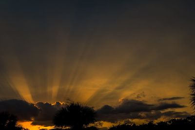 Silhouette trees against cloudy sky during sunset