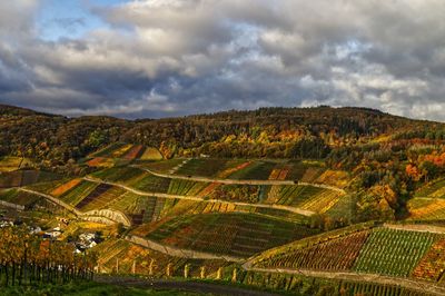 Herbstliche weinberge im ahrtal 