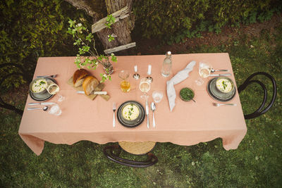 High angle view of potted plants on table in yard