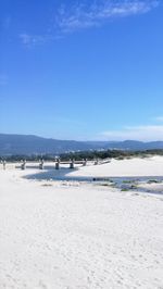 Scenic view of beach against blue sky