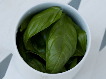 High angle view of green leaves in bowl