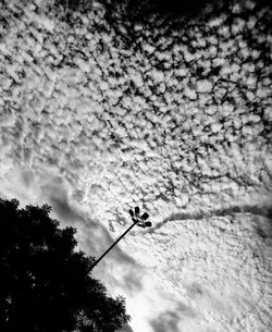 Low angle view of silhouette bird perching on tree against sky