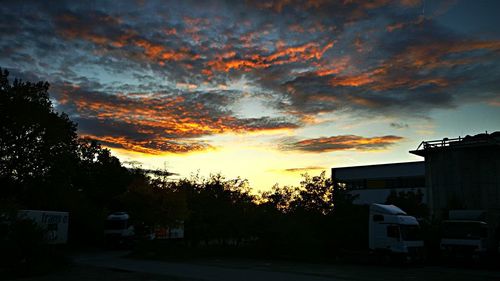 Silhouette of trees and houses against dramatic sky