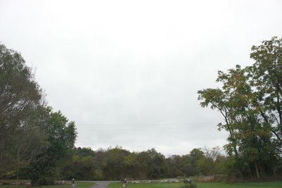 Trees growing on field