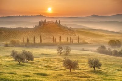 Scenic view of landscape at sunset