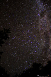 Low angle view of stars in sky at night