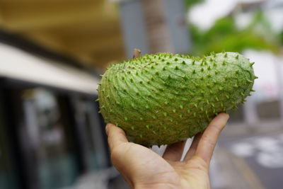 Close-up of hand holding fruit