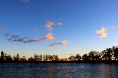 Silhouette of trees at sunset