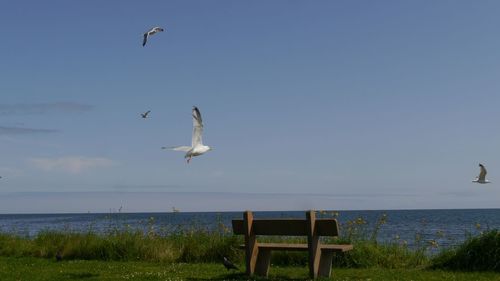 Resting place with oceanview